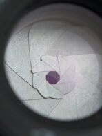 Helios 44M (M42) Lens - Image 7